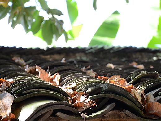 屋顶（个人主页-ZMjYyODg5ODQ=） - 环境/建筑摄影 - 站酷设计师九鲛原创素材 - 站酷ZCOOL