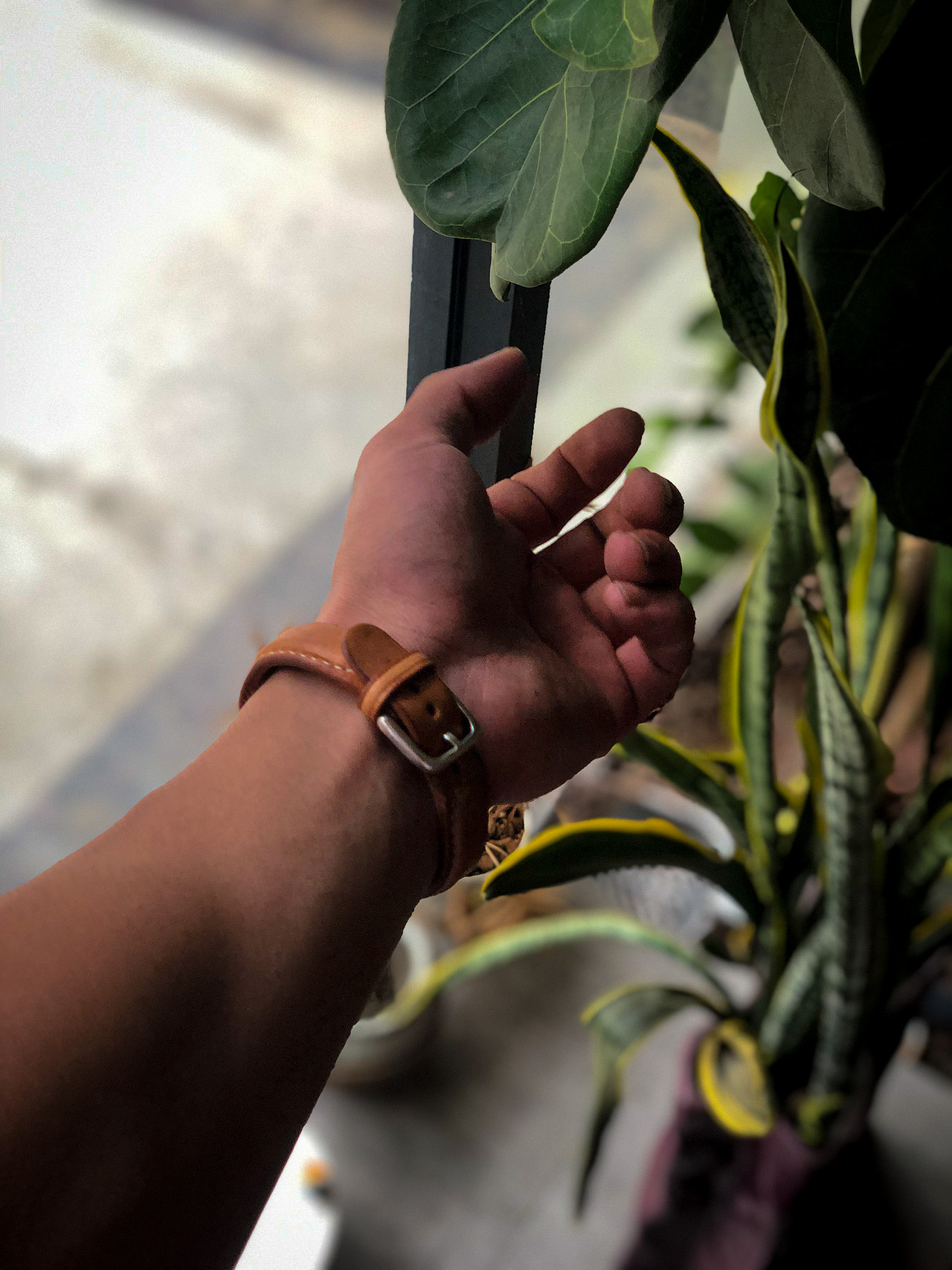 吾熊&麦小坤皮艺工作室🔥克罗心植鞣革牛皮手环