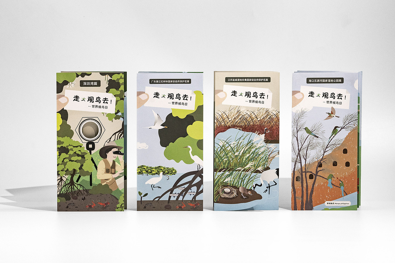 世界候鸟日-观候鸟折页及海报