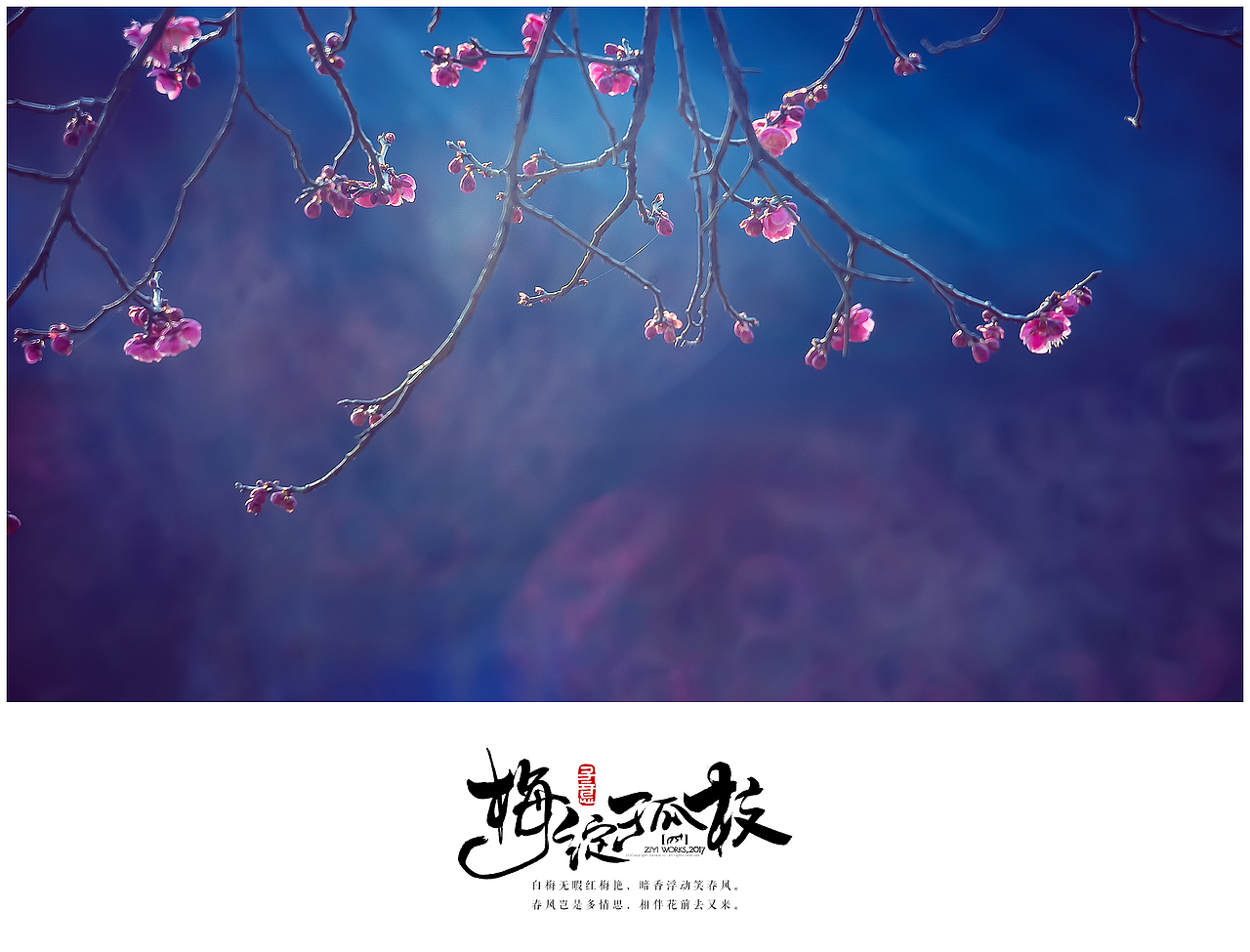 《梅绽孤枝》（图ZNzEwNjI5NjQ=） - 风光摄影 - 站酷设计师摄影师子意原创素材 - 站酷ZCOOL