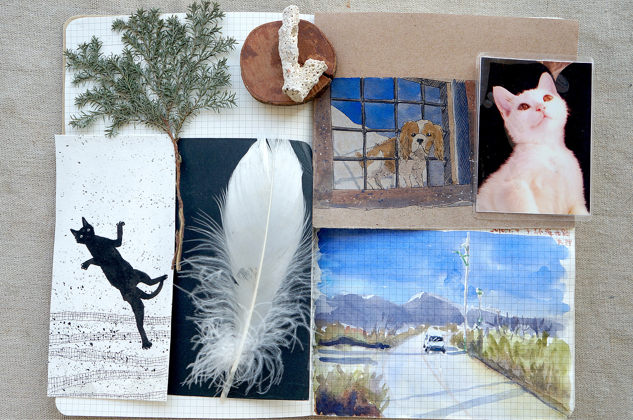 自然笔记（图ZNjg2NTE2MzI=） - 艺术插画 - 站酷设计师早寻原创素材 - 站酷ZCOOL