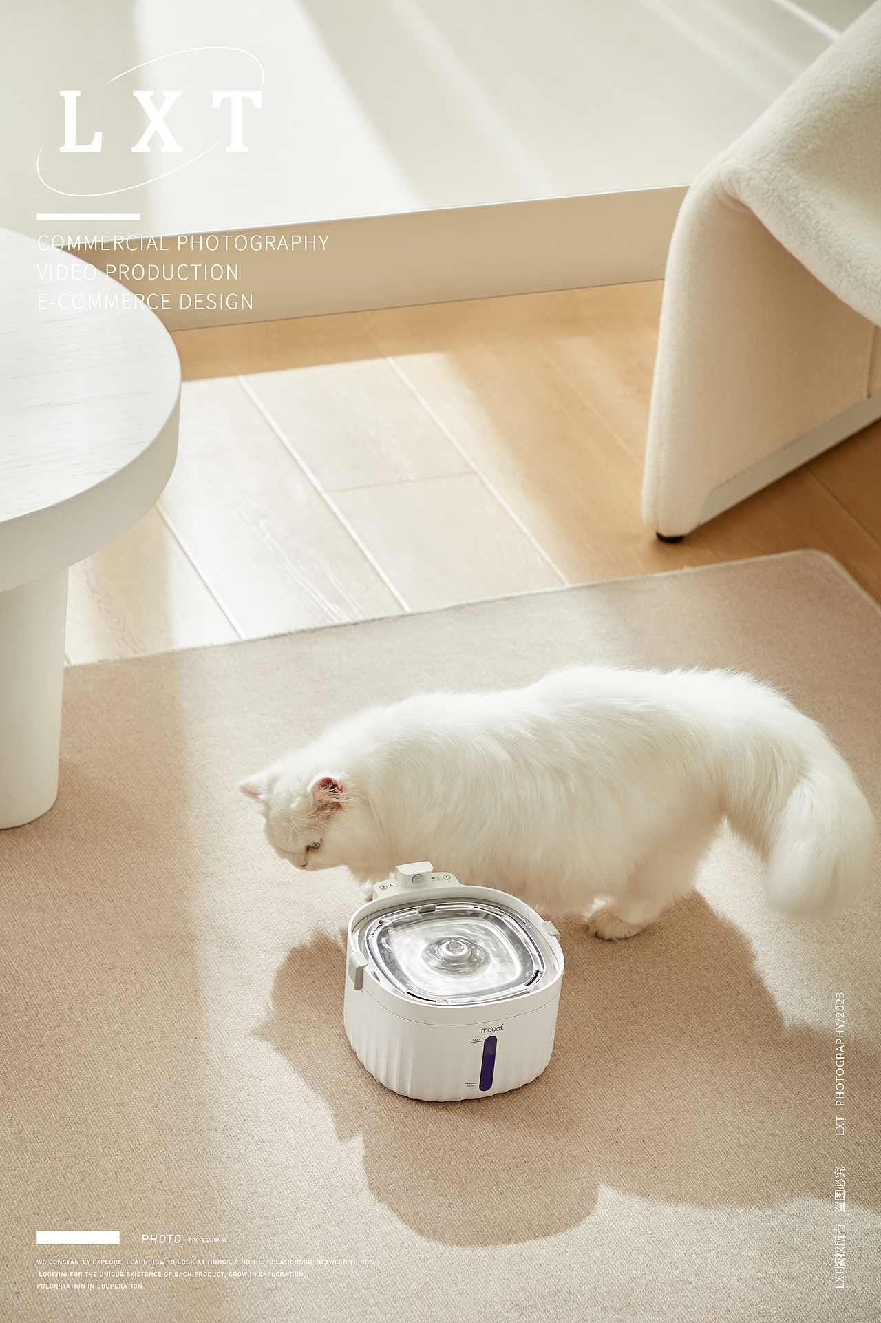 觅凹猫咪饮水机拍摄