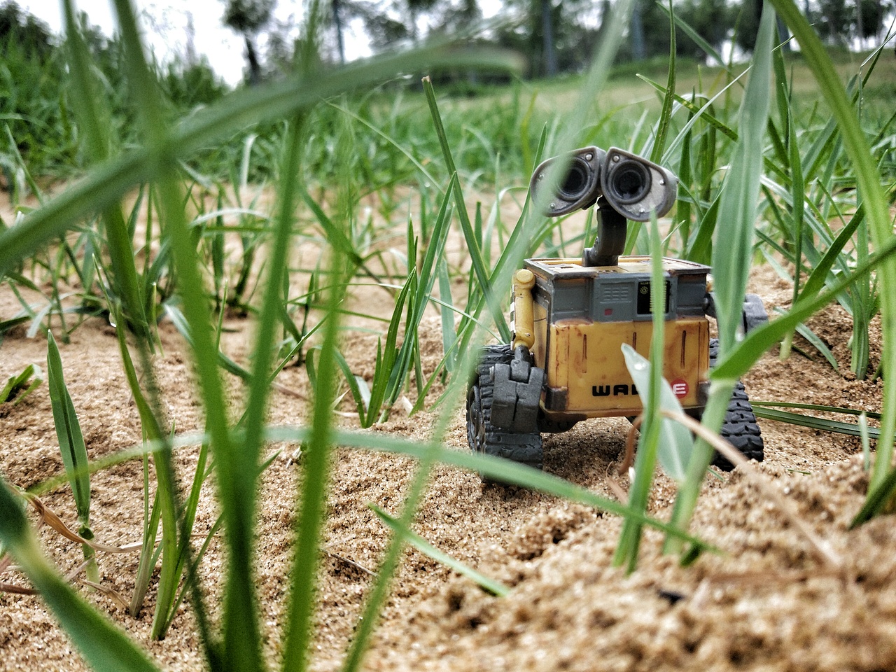 寻找伊娃（图ZNTM0NzQ3NTY=） - 产品摄影 - 站酷设计师蜗牛大声唱原创素材 - 站酷ZCOOL