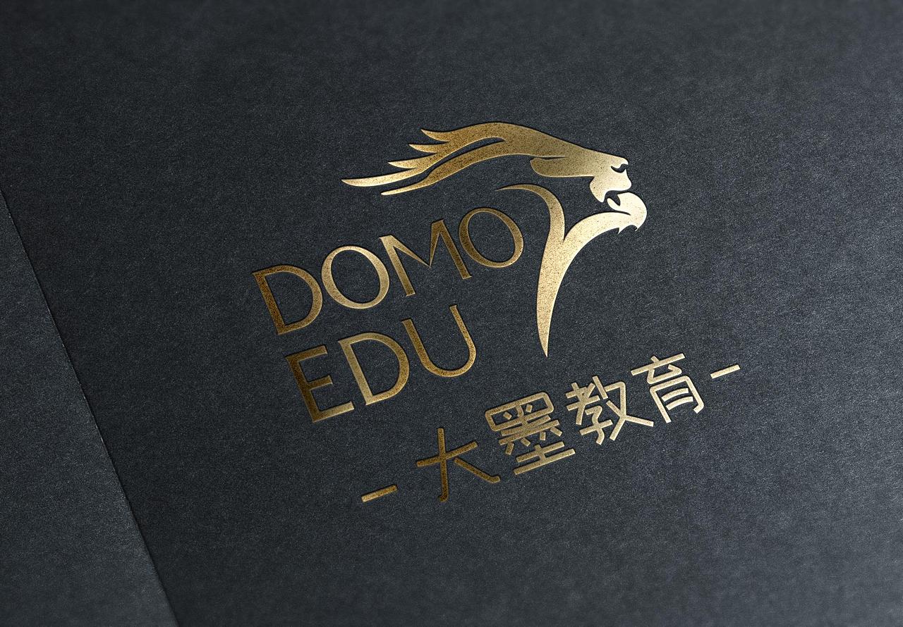 DOMOEDU整体VI视觉