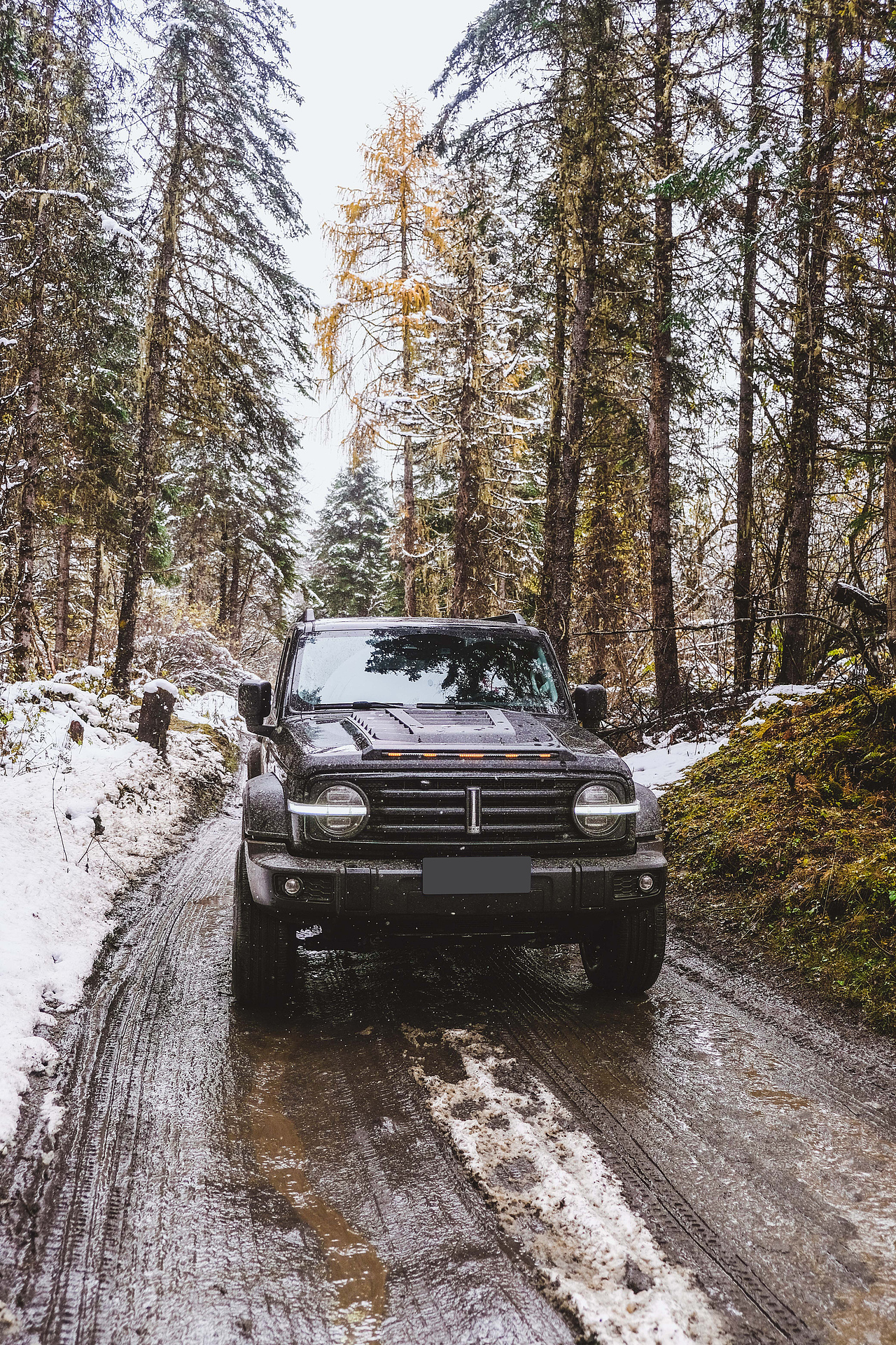 霸王山的野,值得征服