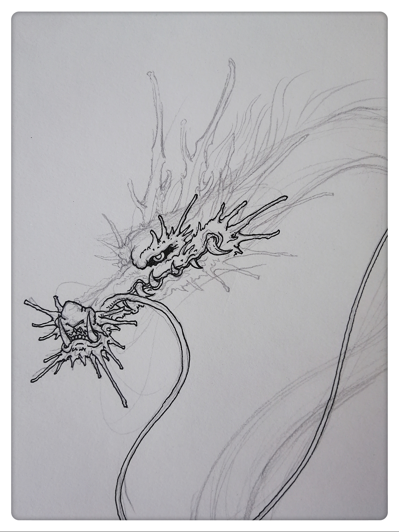 塑新斋潘纪坤插画练习千与千寻白龙赈早川琥珀主