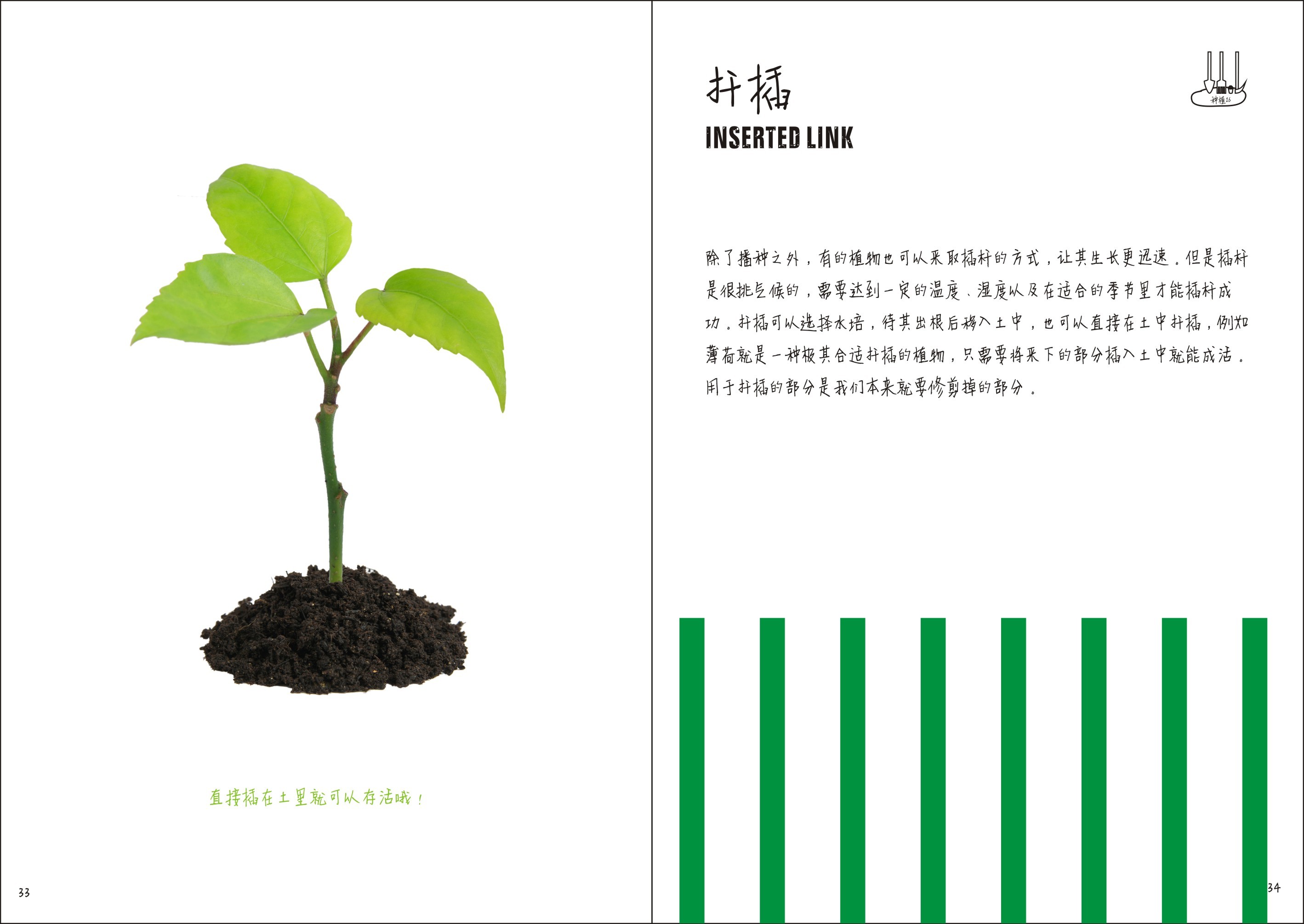 种植记录本封面设计图片