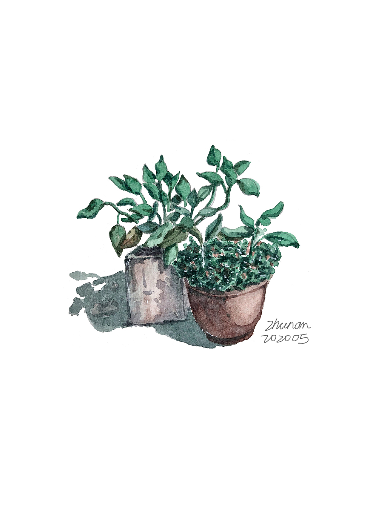 水彩本上的小画二