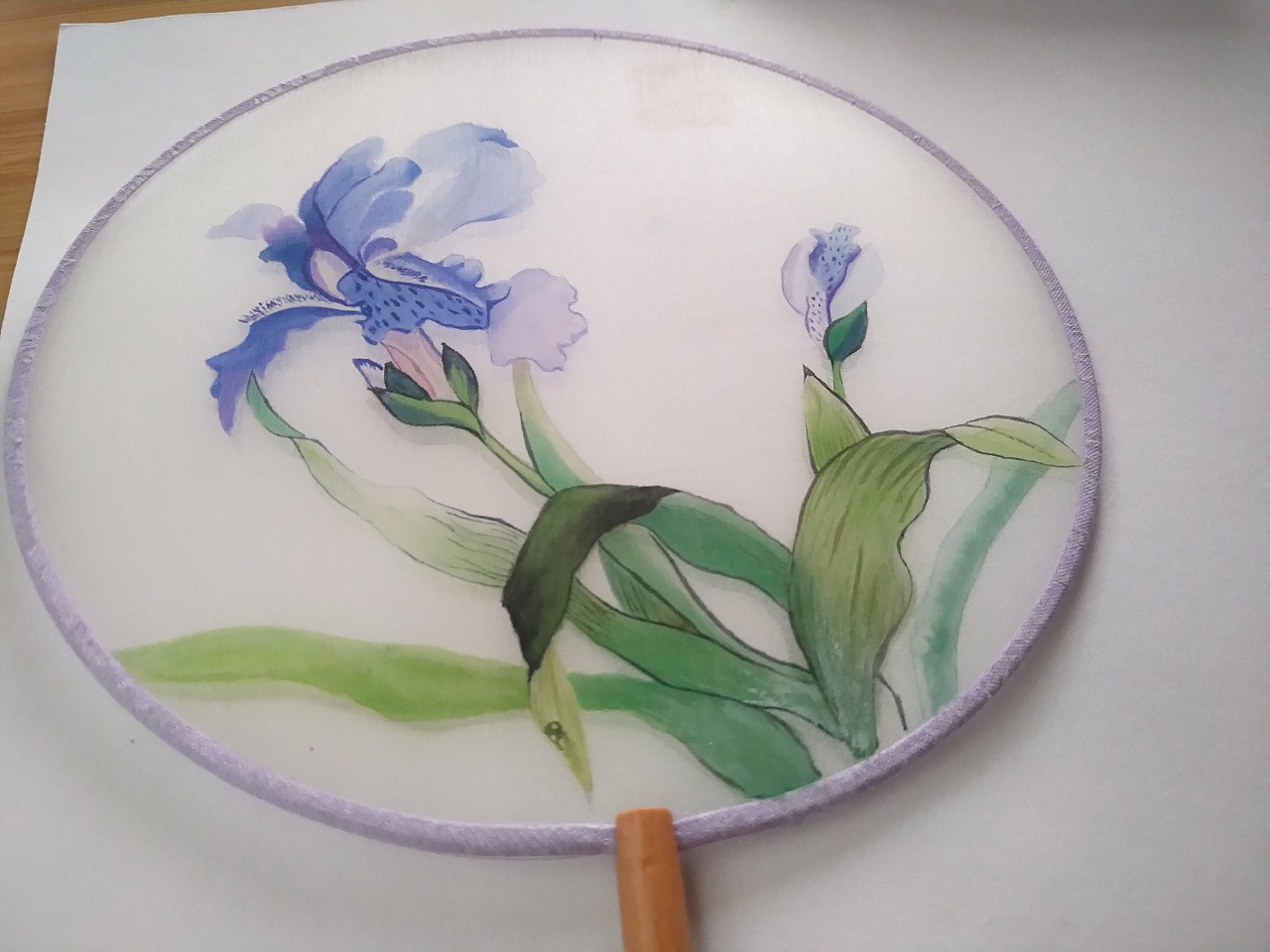 团扇-鸢尾花|纯艺术|绘画|木鱼石心 - 临摹作品 - 站酷 (zcool)