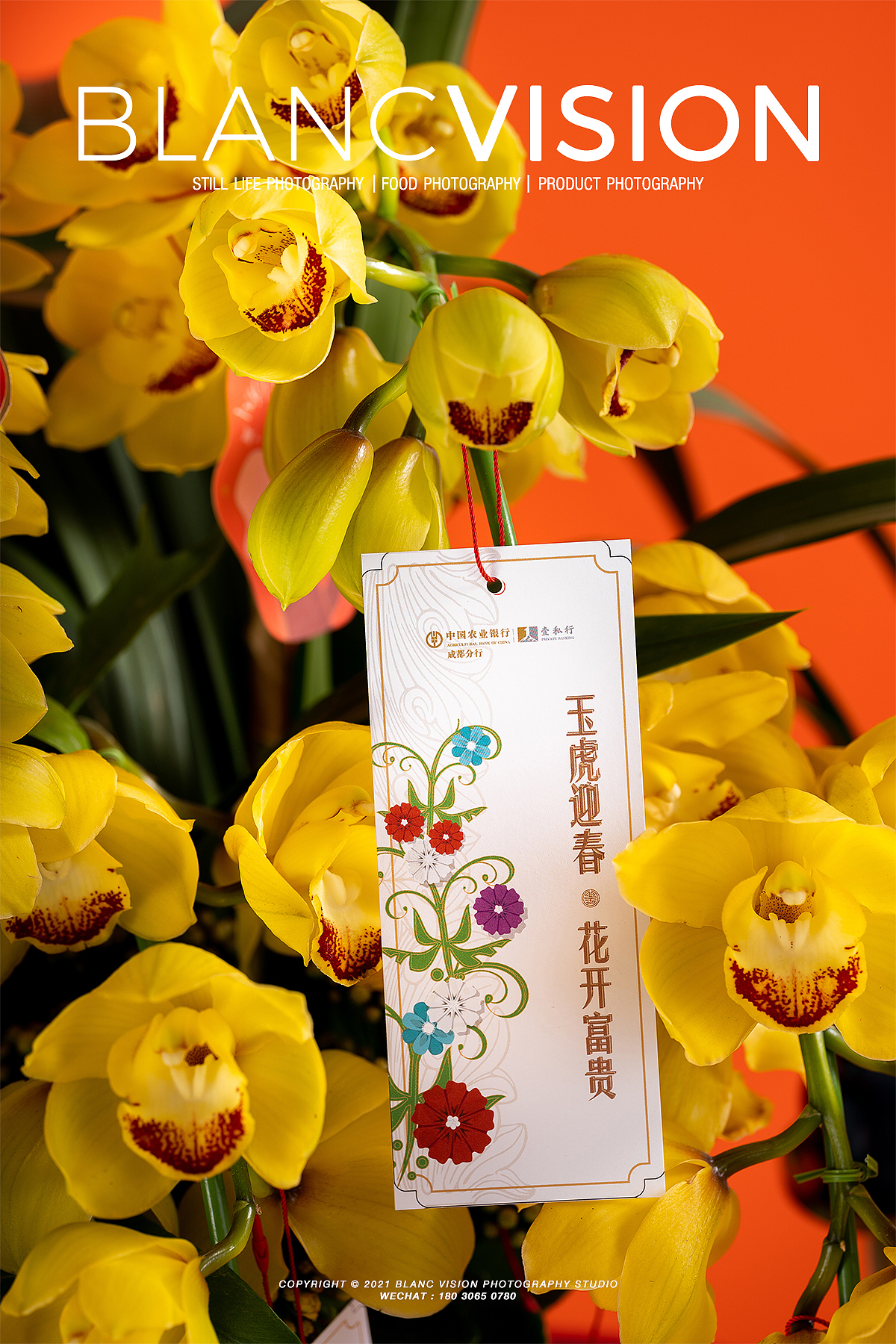 年宵花拍摄|静物摄影|栢蘭视觉