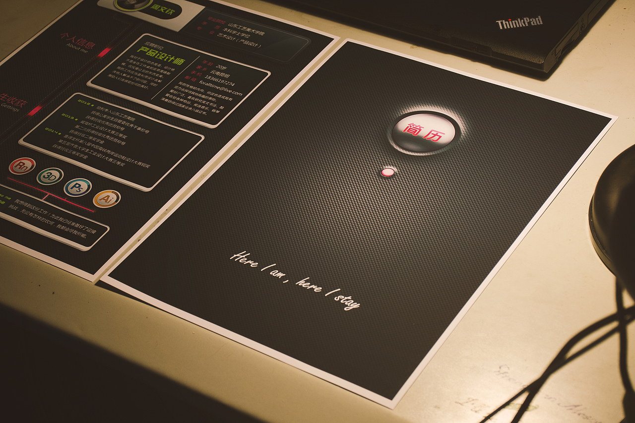 个人简历 （第二版）