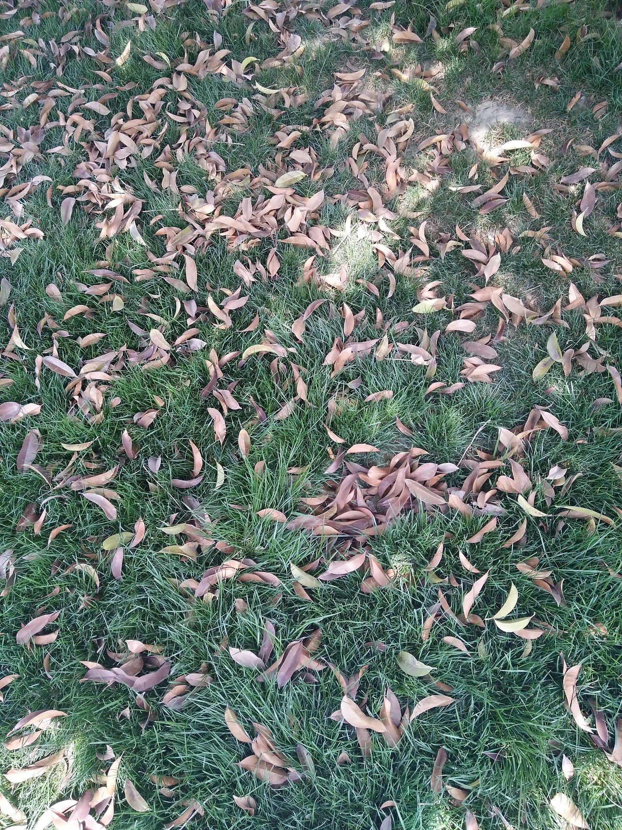 风光摄影（图ZODc3MjM3MzI=） - 风光摄影 - 站酷设计师沁怡原创素材 - 站酷ZCOOL