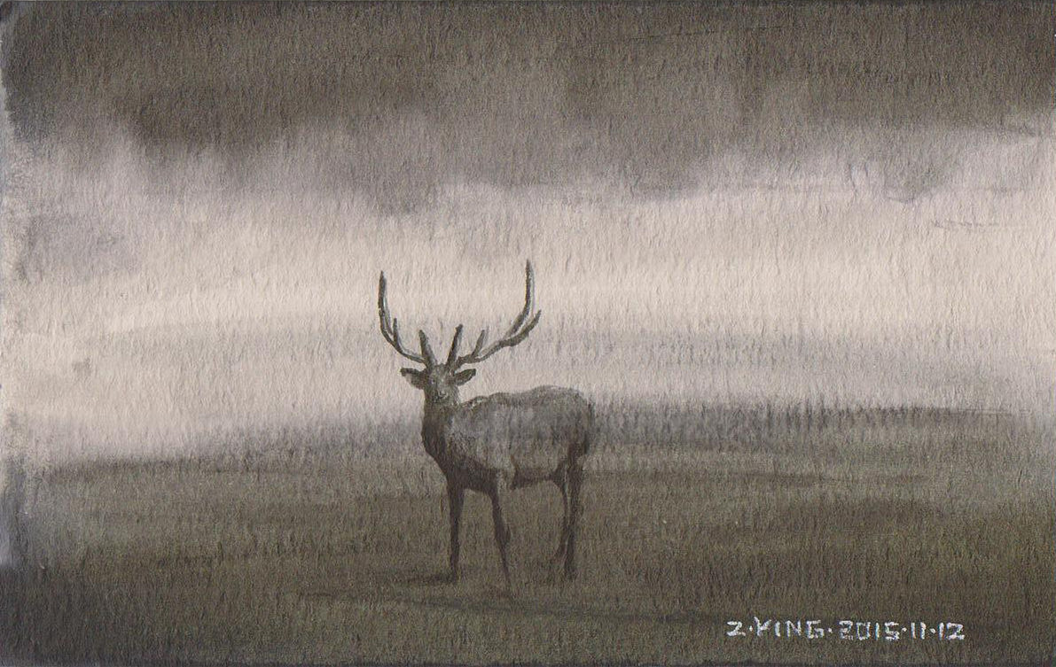 迷途与未知世界