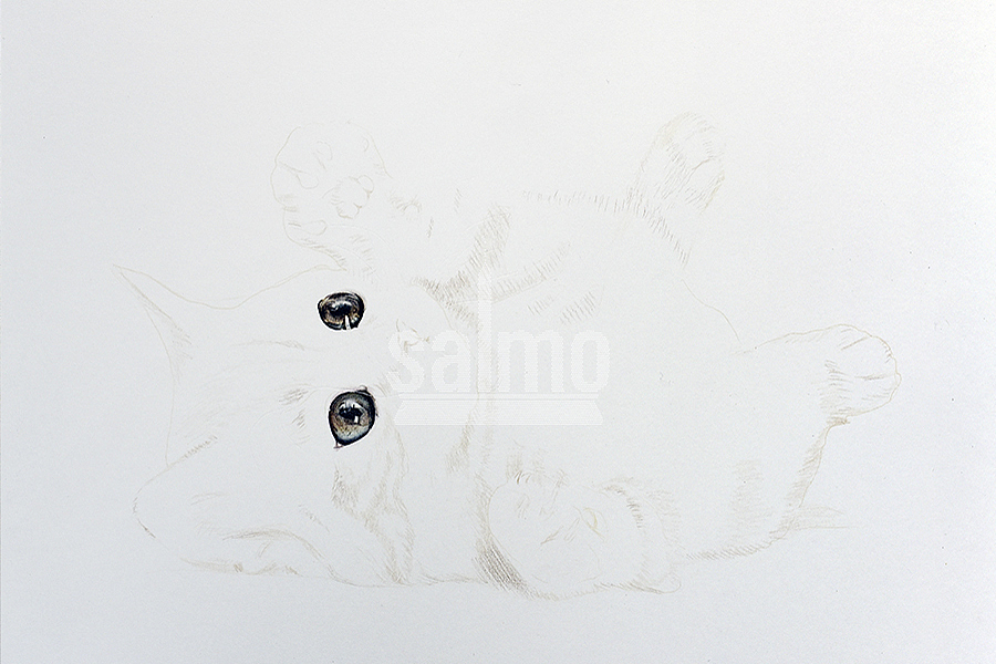 喵~（图ZNjMyNjU4NzI=） - 绘画 - 站酷设计师xuanye1836原创素材 - 站酷ZCOOL