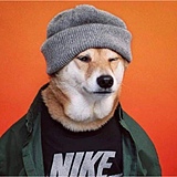Yizzzzzzz的头像