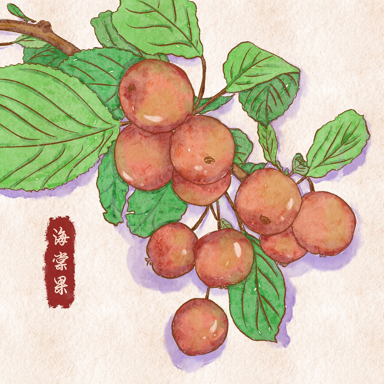 水彩植物（图ZMjczMzczMzIw） - 商业插画 - 站酷设计师也也丫原创素材 - 站酷ZCOOL