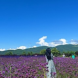 筱婷123的头像
