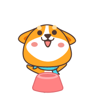 笨萌阿黄-清凉一夏