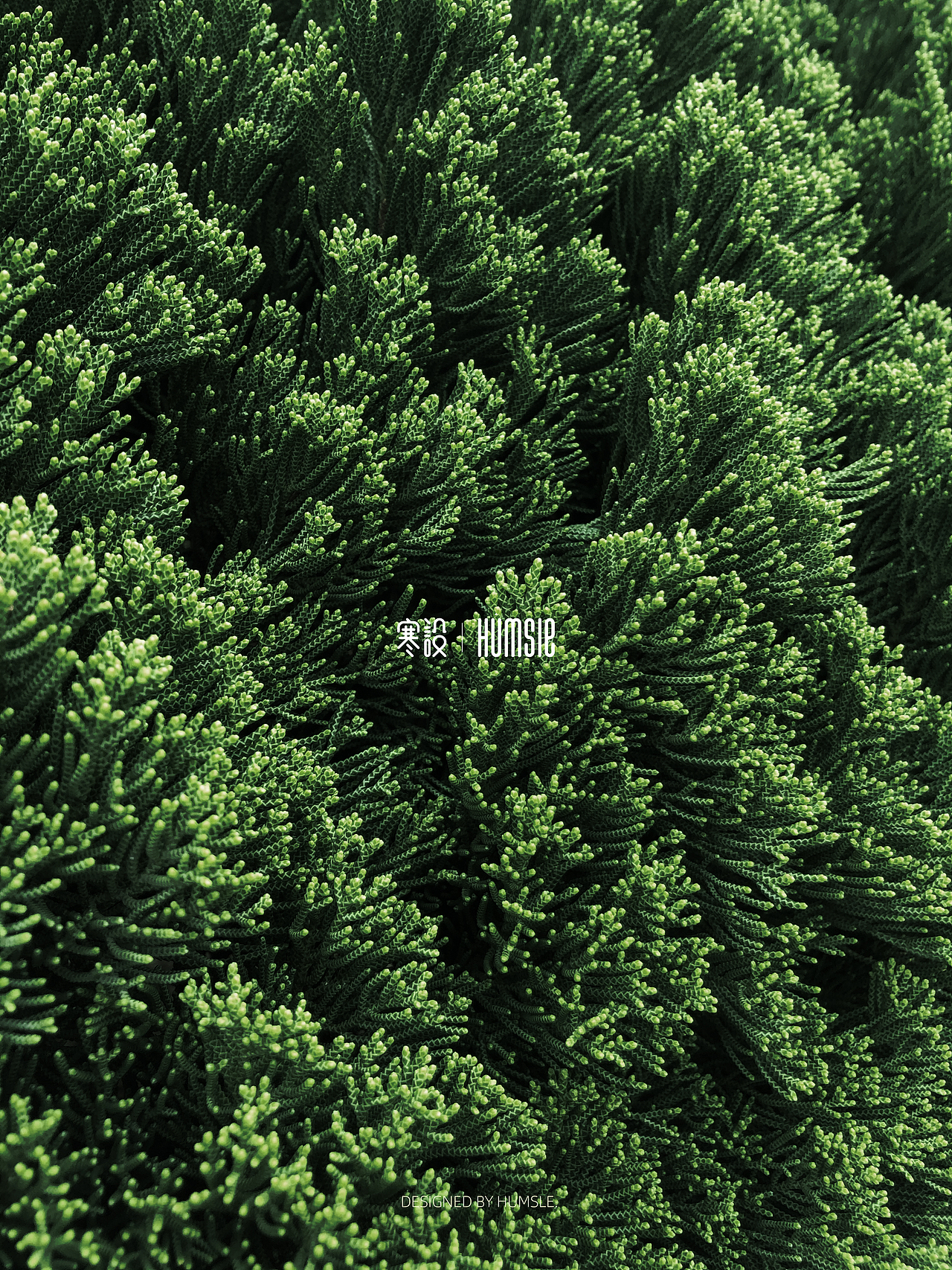 随手拍,走到哪,拍到哪。