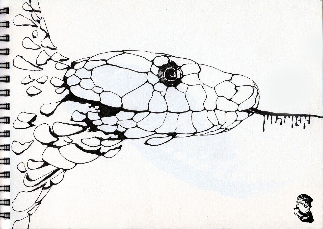 世界上最毒的蛇