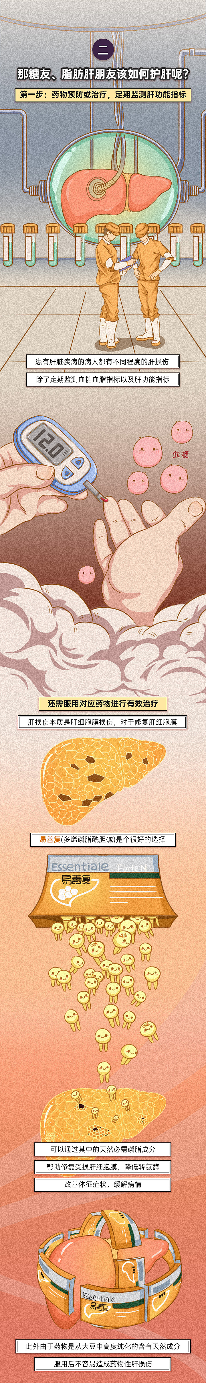 糖尿病和脂肪肝的关系|插画|商业插画|禅胡子 - 原创作品 - 站酷