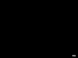 三折页