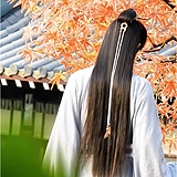 轻尘净的头像