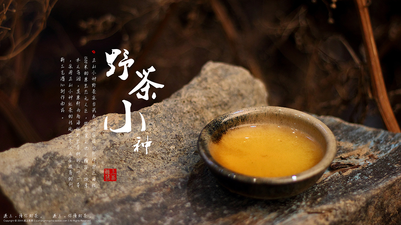 给厦门“遇上茗茶”店拍摄的“野茶小种”