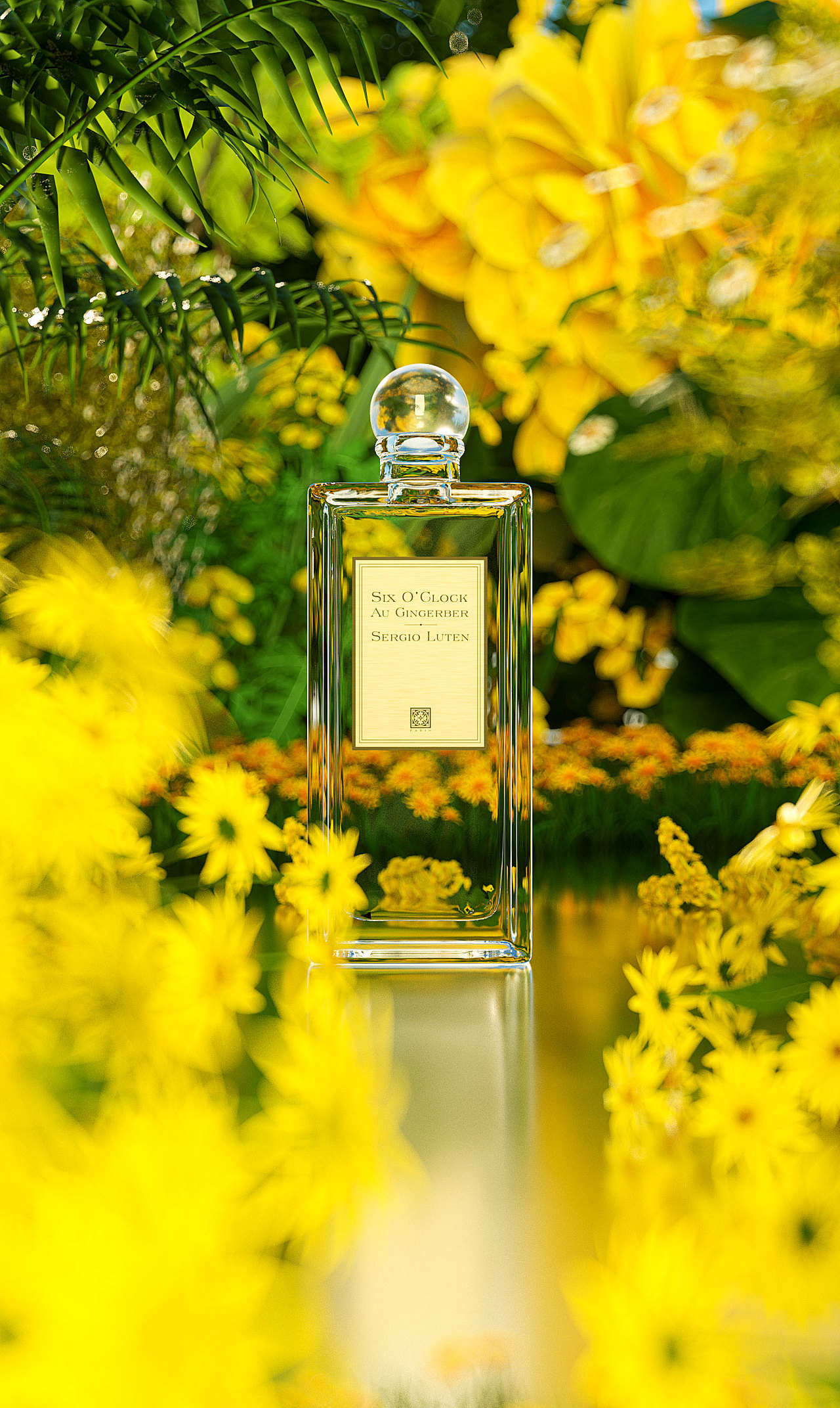 2020练习作品(2020.2-12)