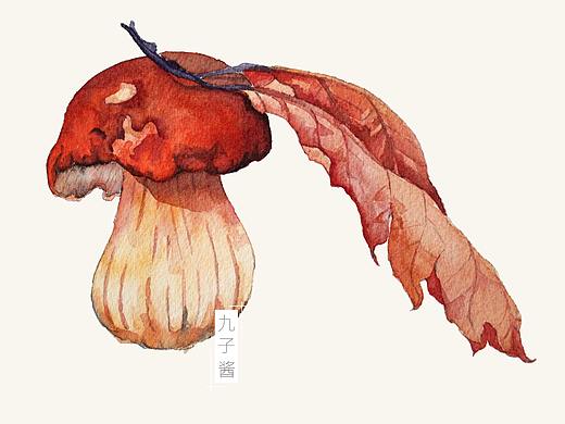 [练习图] 水彩 小蘑菇 | 九子酱