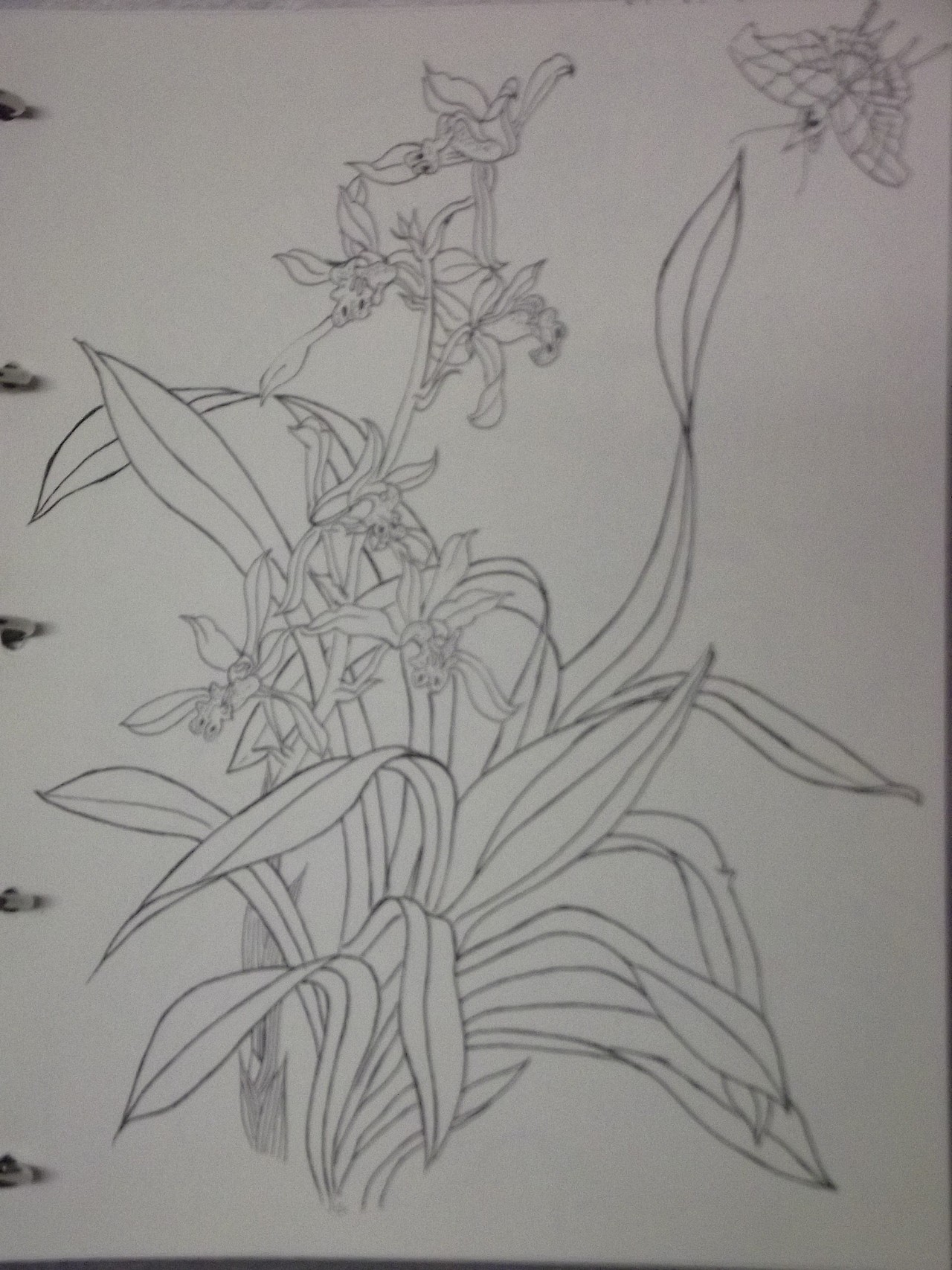 钢笔速写（图ZNTk1NjMyNzI=） - 艺术插画 - 站酷设计师甲甲玲原创素材 - 站酷ZCOOL