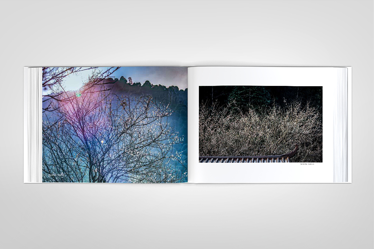 清新花香·福源建宁-精装画册-源艺设计