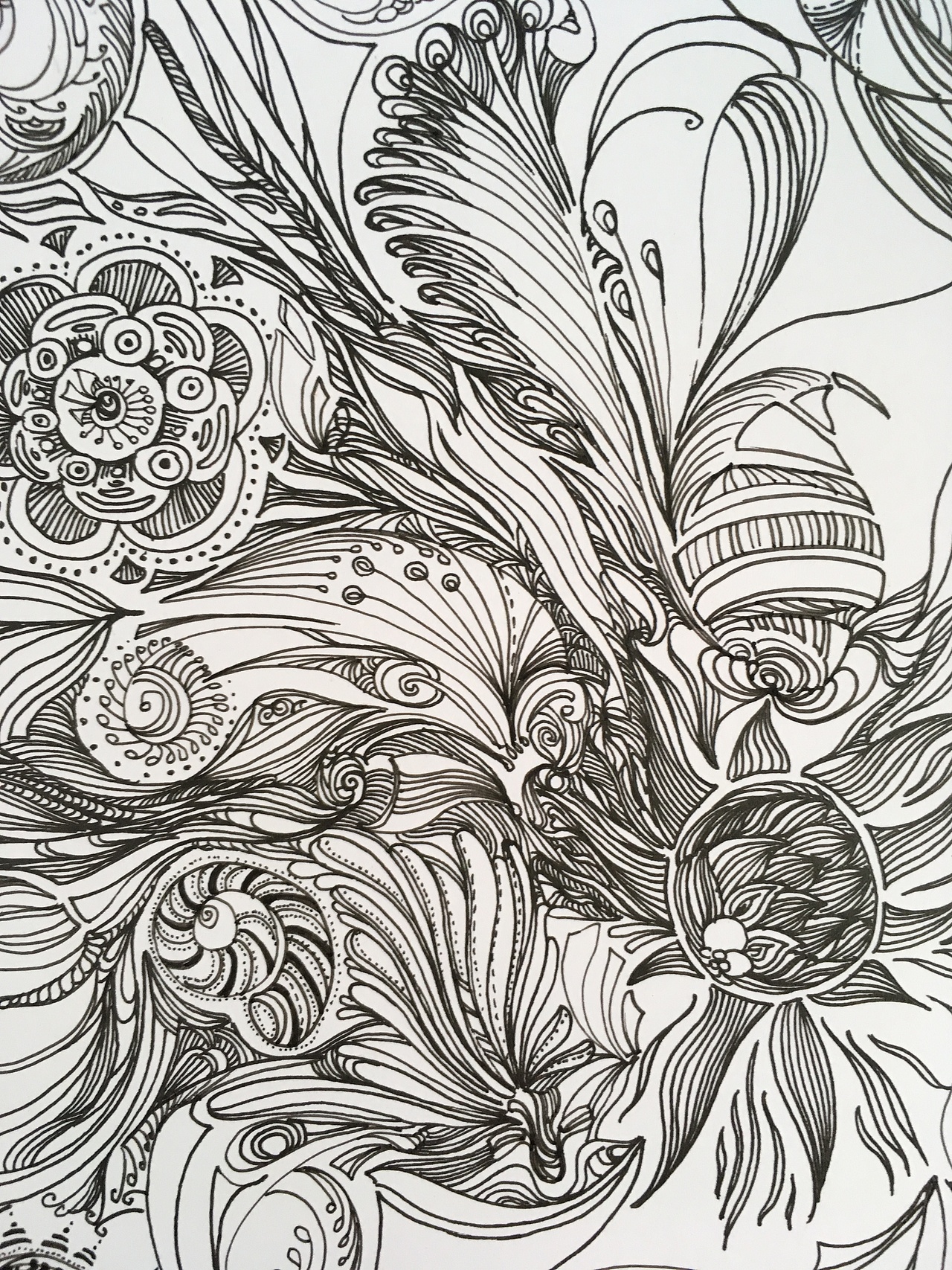 原创手绘黑白插画植物动物水草