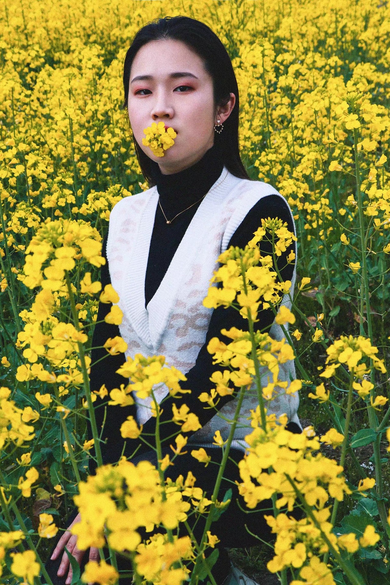 油菜花田里的故事