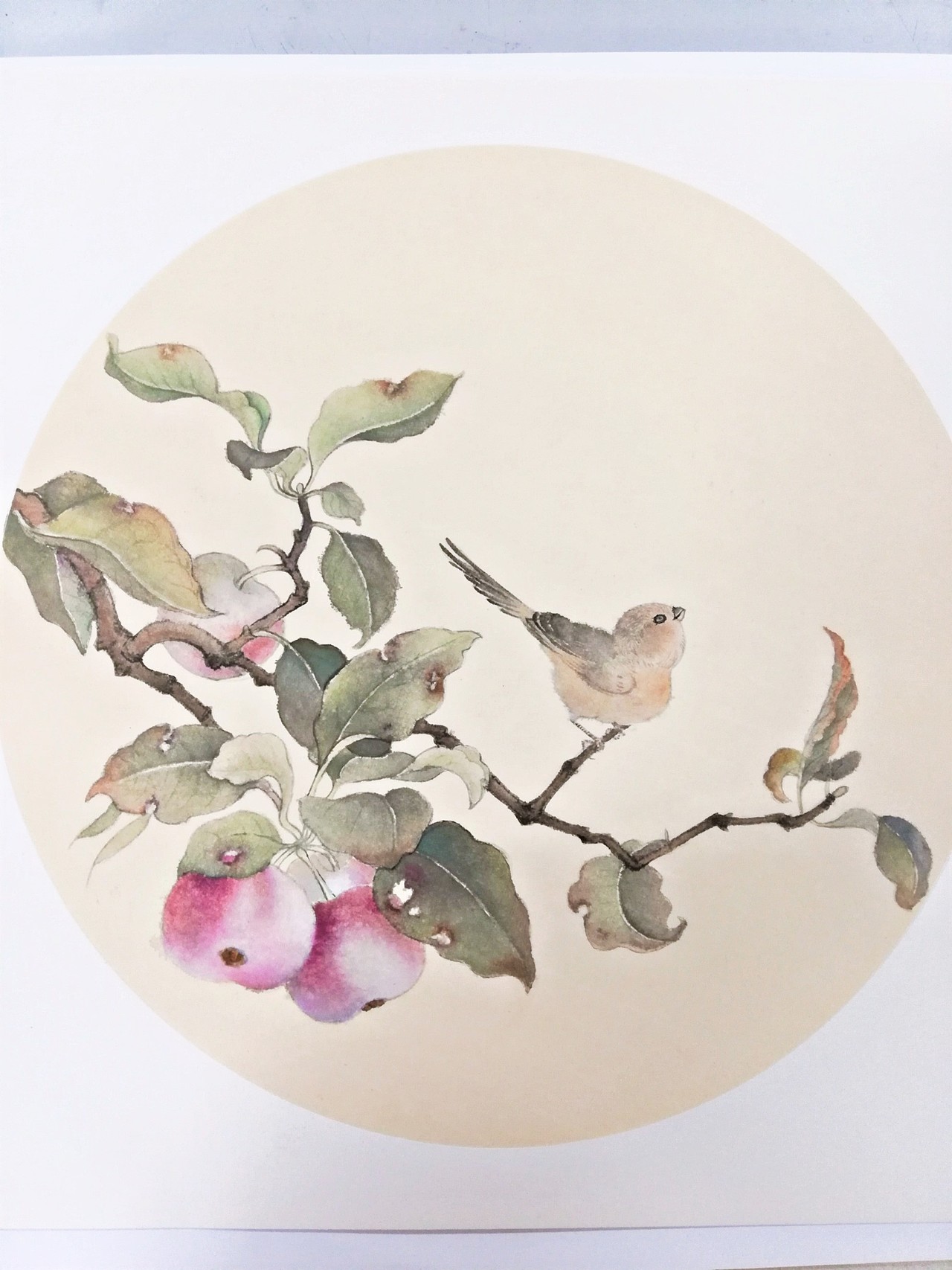 國畫植物 鳥語花香（圖ZMjAxNjk0OTAw） - 繪畫 - 站酷設(shè)計師語雪森原創(chuàng)素材 - 站酷ZCOOL