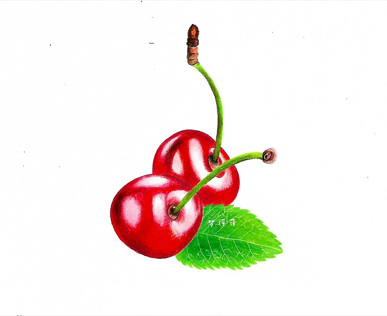 彩铅手绘两颗小樱桃|纯艺术|绘画|梦浮荏_原创作品-站酷zcool
