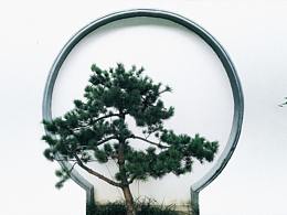 苏州