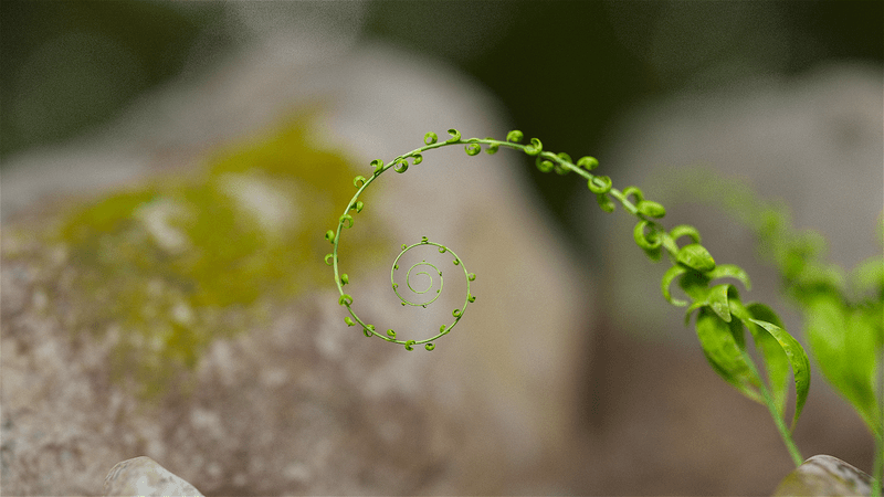 金顺木门宣传视频