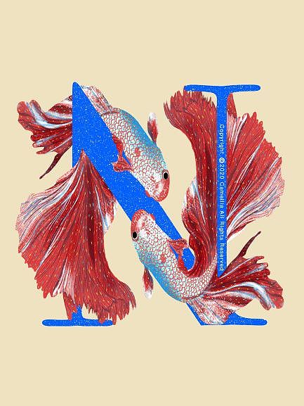 26个字母与动物的创意组合插画（图ZMjE0NjUxNDg4） - 创作习作 - 站酷设计师山之茶花Camellia原创素材 - 站酷ZCOOL