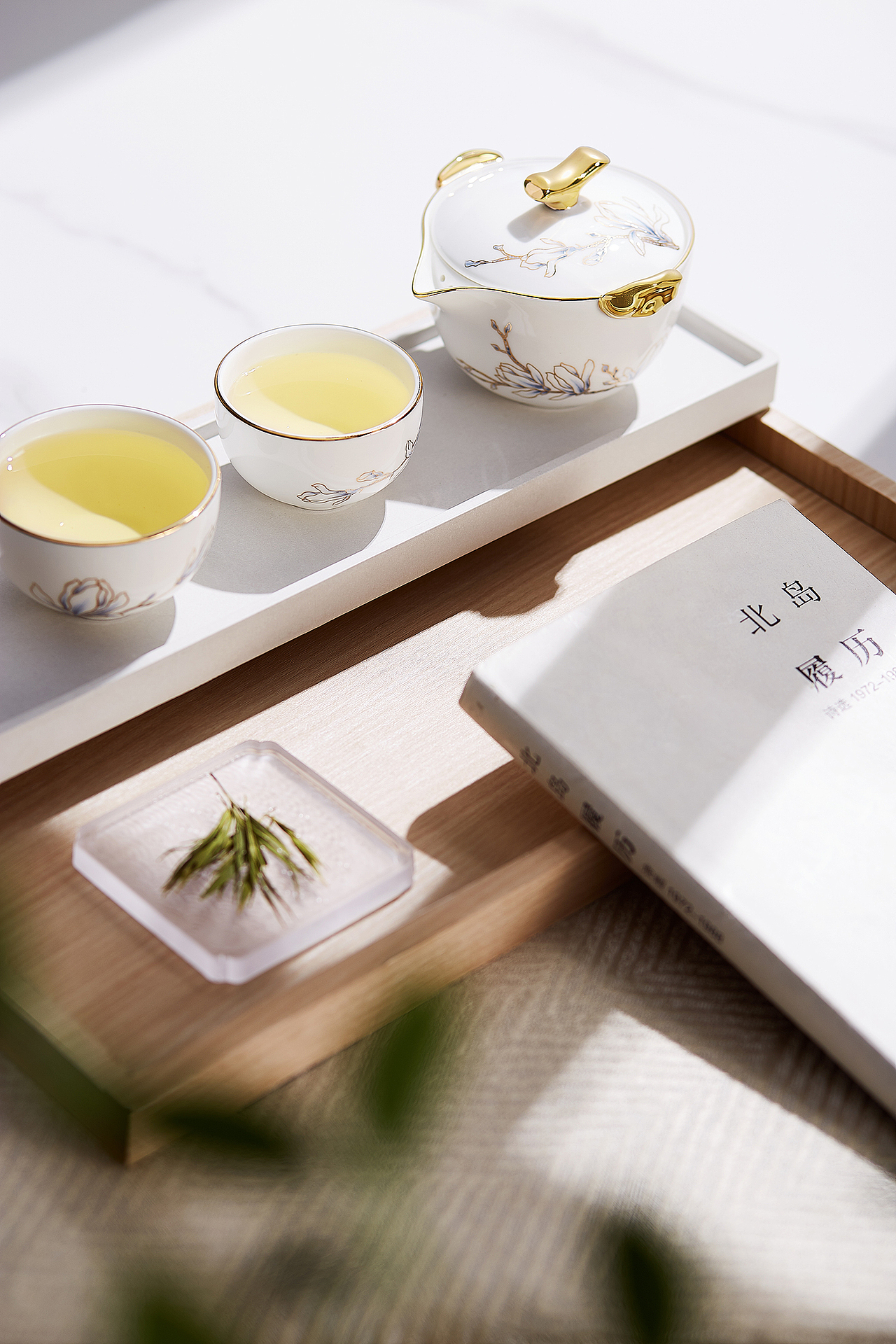 青云茶杯丨玛戈隆特×橡皮人摄影