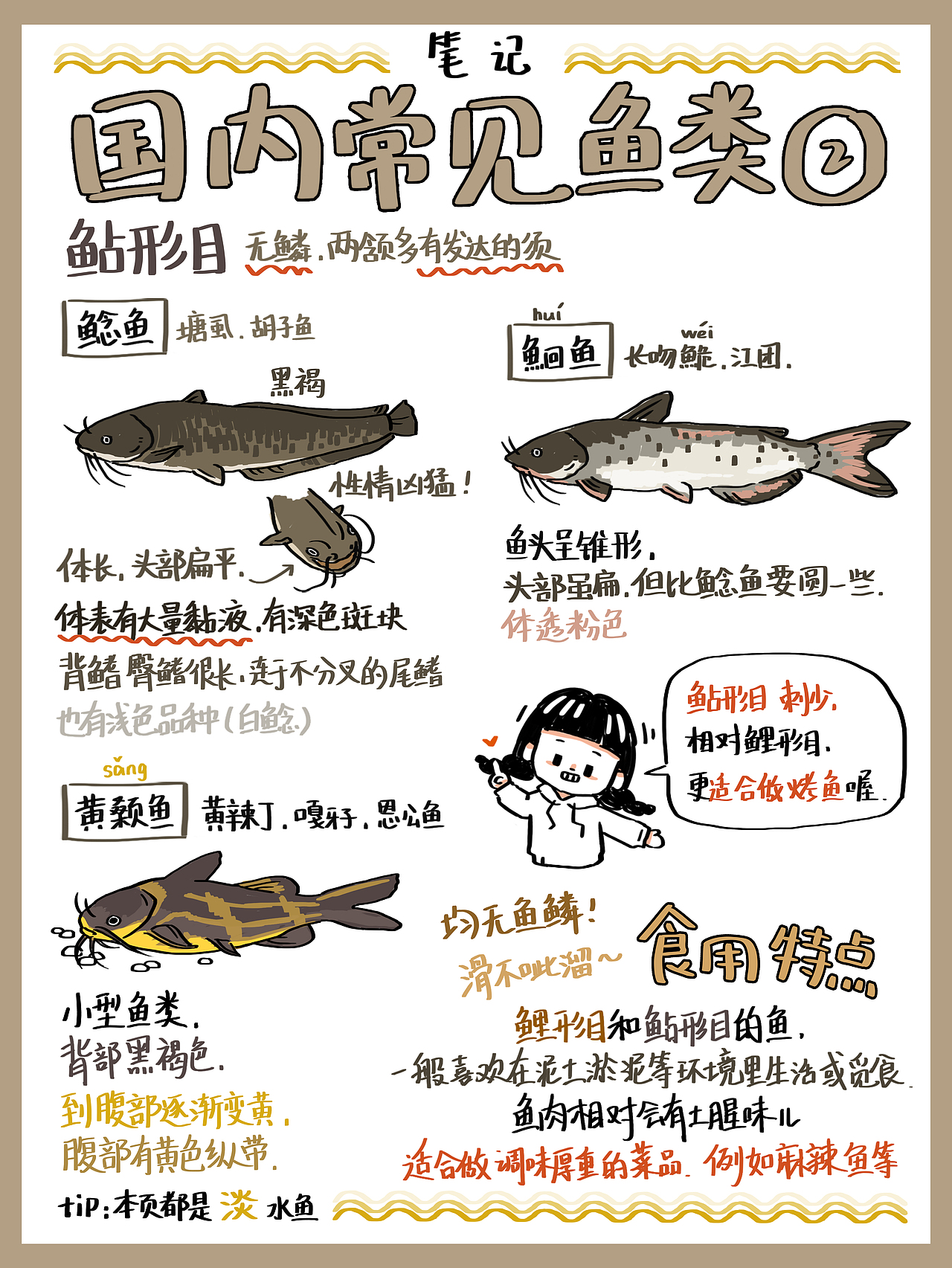 食物笔记–海鲜常见吃的鱼！（图ZMjg3MzQyOTQ0） - 创作习作 - 站酷设计师地雷aya原创素材 - 站酷ZCOOL