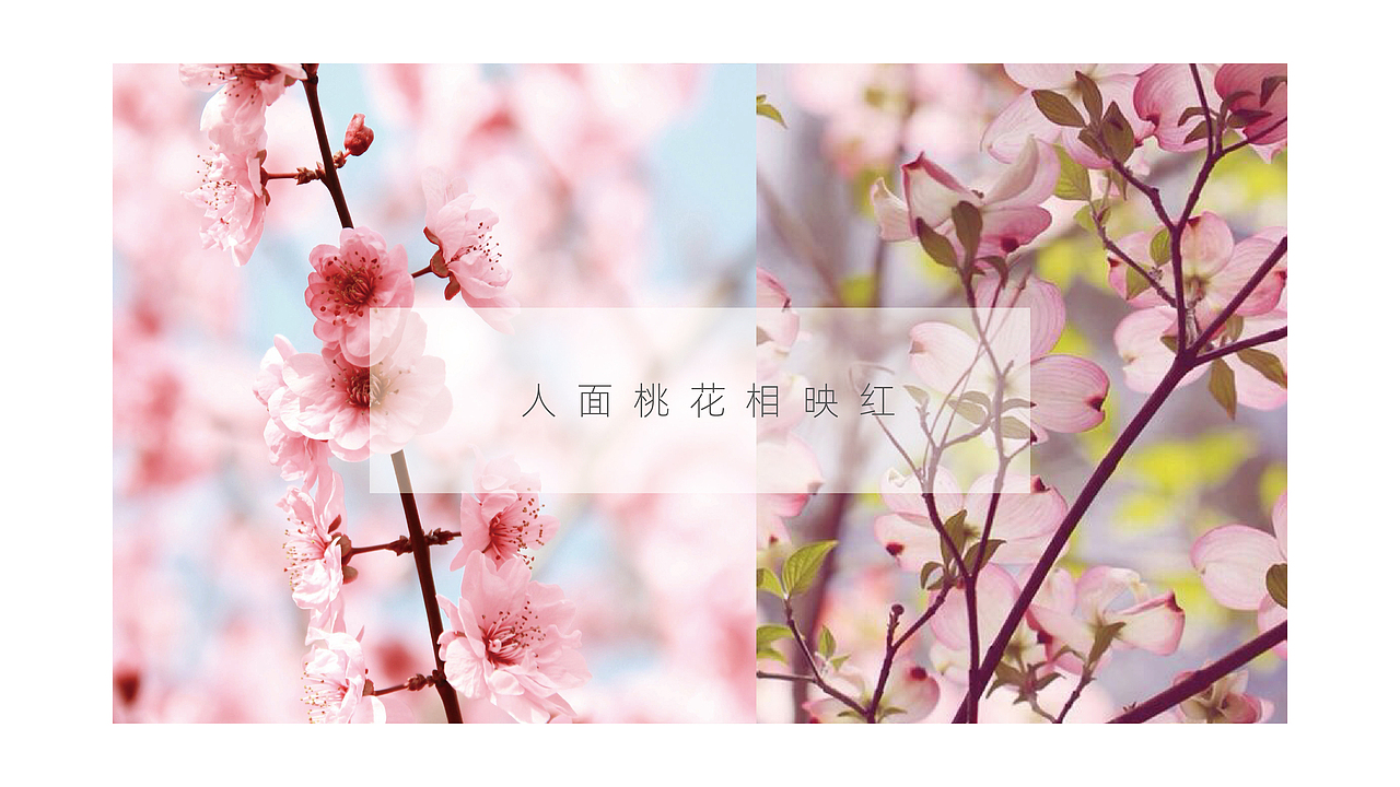 桃花醇-酒包装（图ZMjAzNzE2NTI0） - 包装 - 站酷设计师Maxzheng原创素材 - 站酷ZCOOL