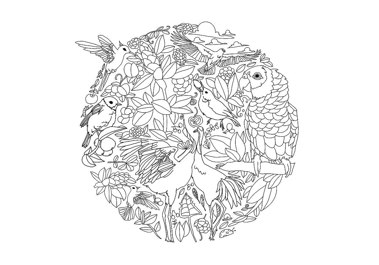 个人插画作品合集