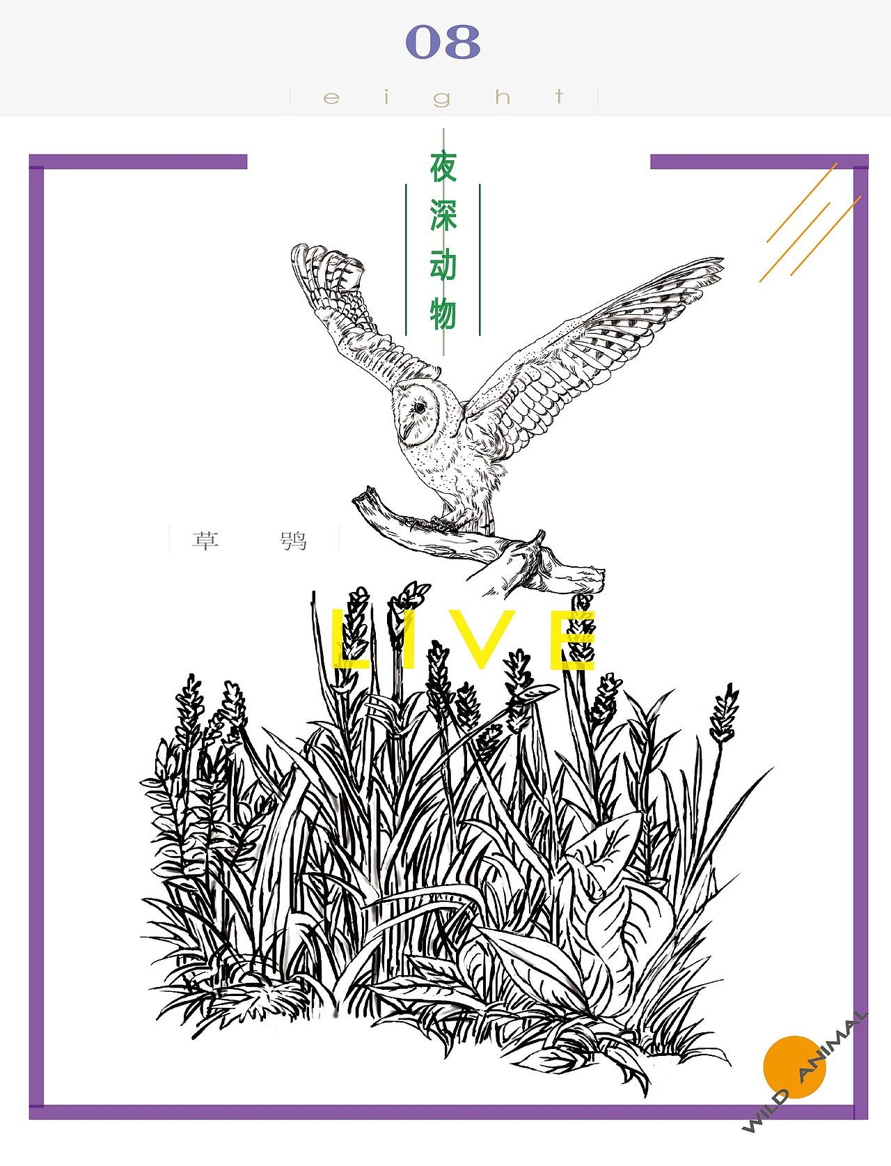 《夜深 动物》（图ZNjAxOTU4ODA=） - 概念设定 - 站酷设计师zeroCC原创素材 - 站酷ZCOOL