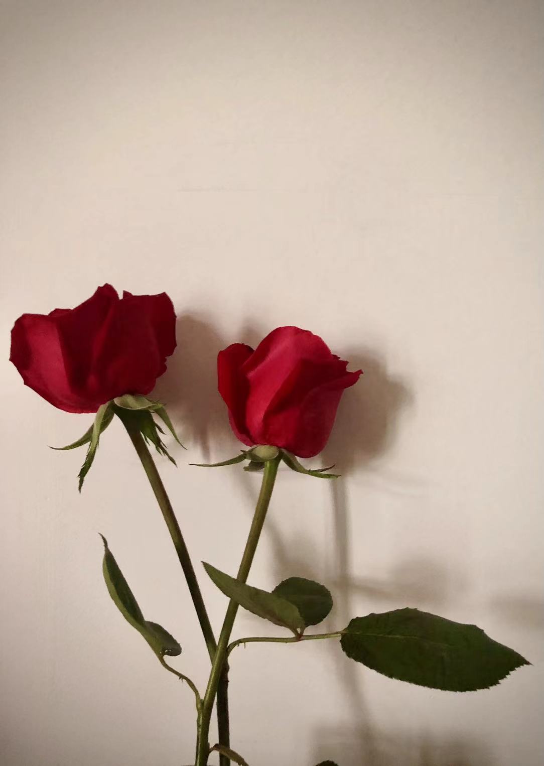 孟大粒的个人主页（封面预览） - 主页封面设置 - 站酷设计师孟大粒原创素材 - 站酷ZCOOL