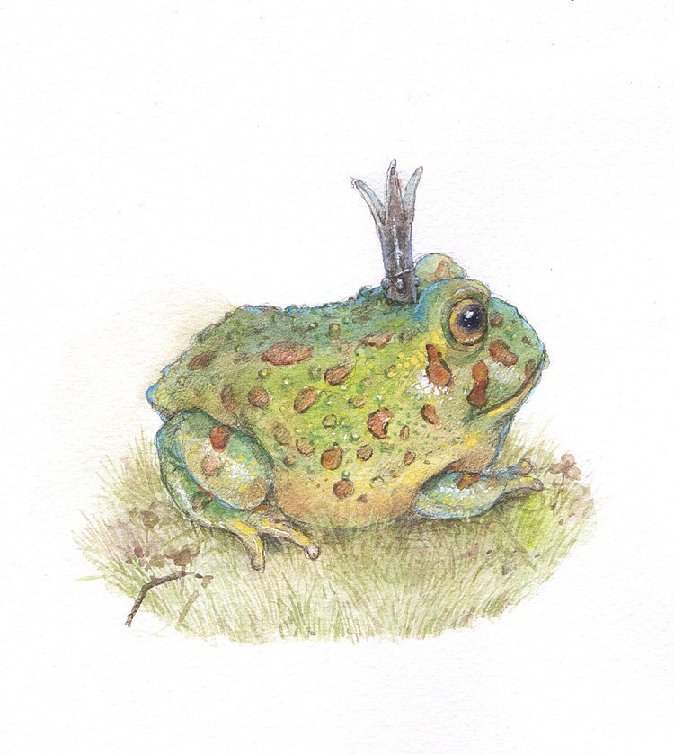 试着用水粉颜料练习个青蛙呱哈哈哈但画法还是水彩的画法