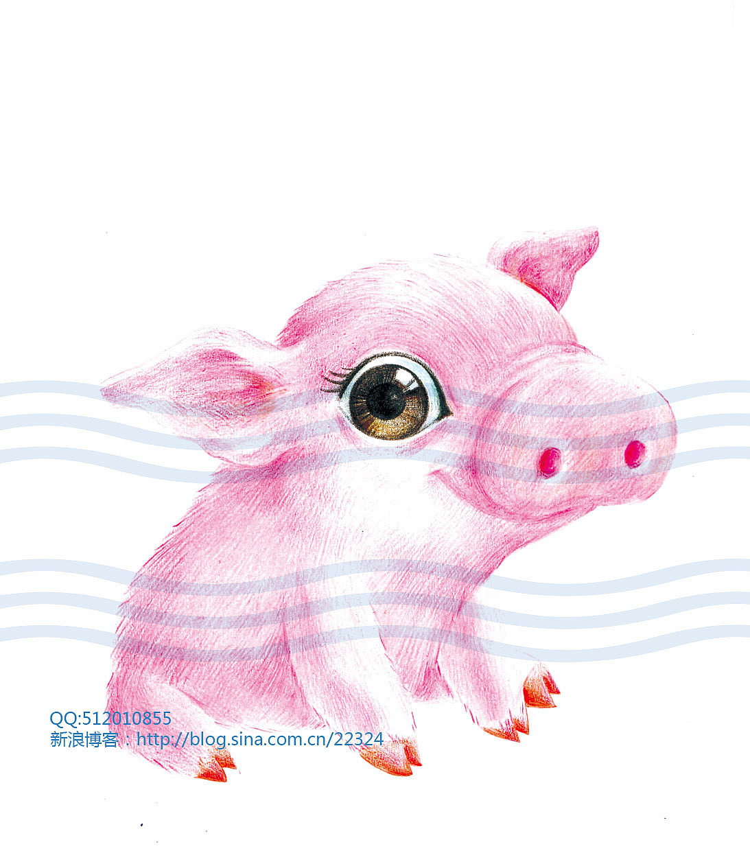 彩铅萌宠系列（已商用）（图ZNzUxOTgyMDA=） - 商业插画 - 站酷设计师水白色绘坊原创素材 - 站酷ZCOOL