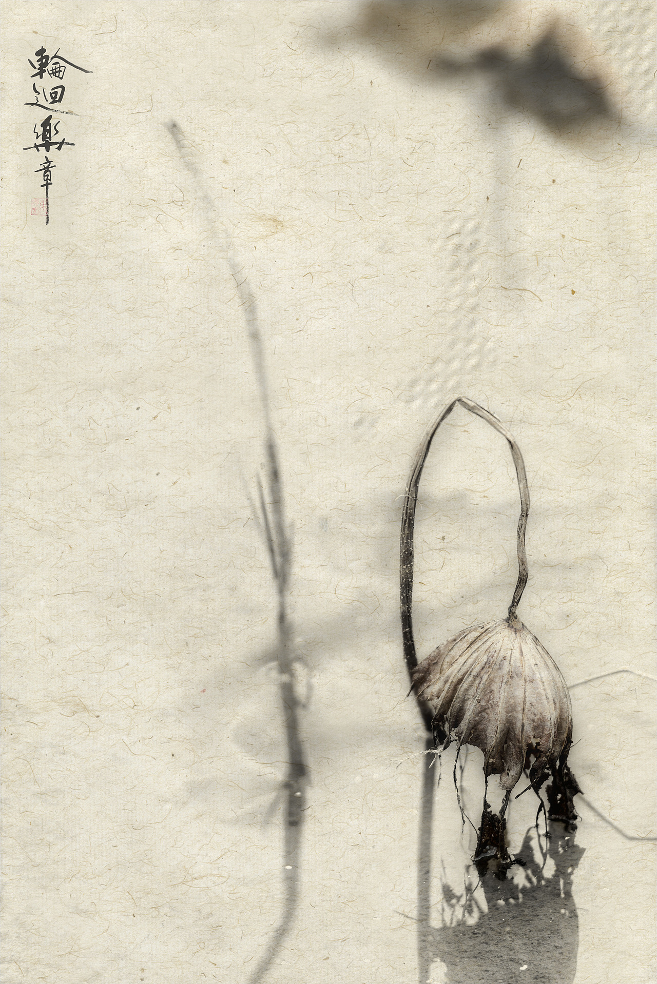 残荷（图ZMTM5MDExNjY0） - 产品摄影 - 站酷设计师蓝调时刻原创素材 - 站酷ZCOOL