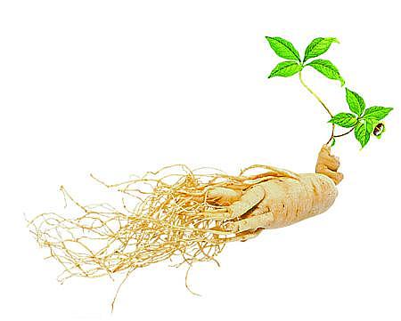 陈李济七红汤做的品牌设计|平面|包装|等你再三月