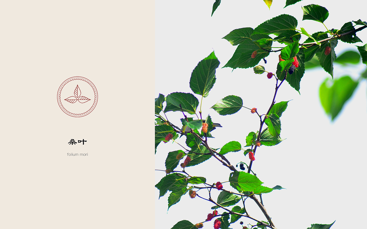 劲牌響酒包装设计（图ZMzAyMzEwNjg0） - 包装 - 站酷设计师Rosie_J原创素材 - 站酷ZCOOL
